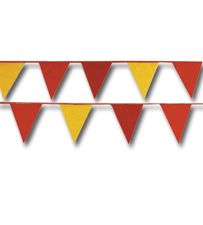 Multicolor Plastic Triangle Pennants 105 Ft.L